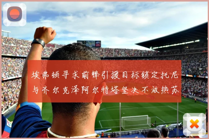 埃弗顿寻求前锋引援目标锁定托尼与齐尔克泽阿尔特塔坚决不放热苏斯