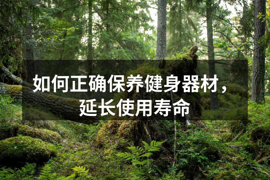 定期维护延长器材寿命