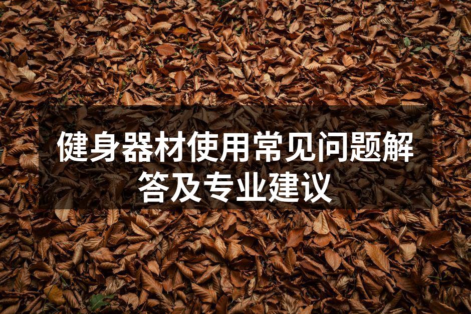 多种健身器材展示