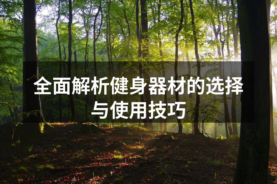 各类健身器材展示